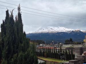 a snow covered mountain in the distance with a tree at 3- Departamento con terraza in Amecameca de Juárez