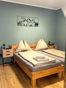 two beds sitting next to each other in a room at Apartment Almtal Liebe in Viechtwang
