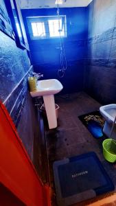 ein blaues Bad mit einem Waschbecken und einem WC in der Unterkunft La casa WM in Cascavelle + 3 Fotos