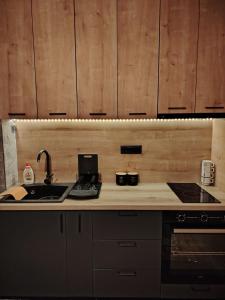 a kitchen with a sink and a counter top at Durmitor sky in Žabljak
