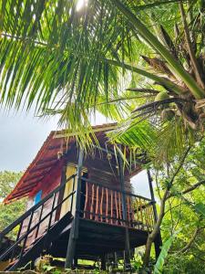 Zahrada ubytování Bird House Mirissa