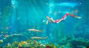 Hosté ubytování Alice's home Times city