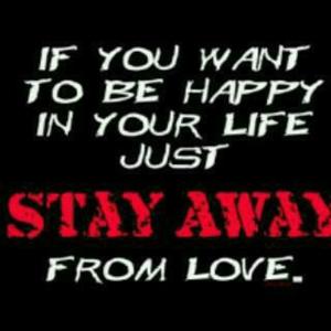 Certifikát, hodnocení, plakát nebo jiný dokument vystavený v ubytování BUSYBEE Lodge