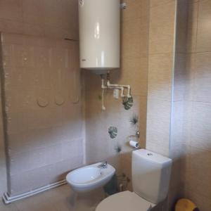 Koupelna v ubytování Casa tradițională bucovineana