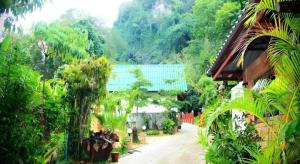 Tambai Resort في Ban Khaek: حديقة فيها نخيل ومبنى في الخلف +35 صورة