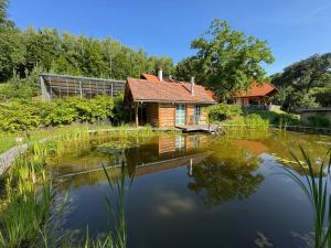 a log cabin in the middle of a pond at Frida Farm Vendégház in Kétvölgy
