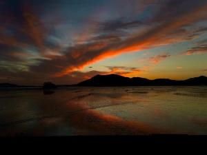 Ảnh trong thư viện ảnh của 순천만에코비치 