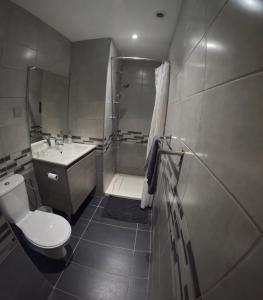 Un baño con inodoro, lavabo y ducha. en Studio à 2 pas des thermes, en Saint-Martin-d'Uriage