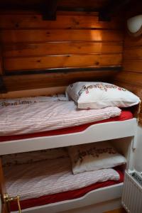 a bunk bed with two pillows on top of it at Boat-Apartment Rotterdam Fokkelina in Rotterdam