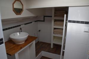 a bathroom with a white sink and a mirror at Boat-Apartment Rotterdam Fokkelina in Rotterdam