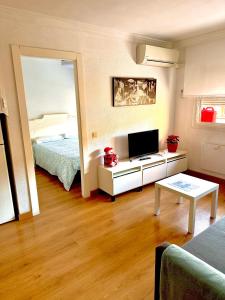 TV a/nebo společenská místnost v ubytování Ana's Apartment parking gratuito