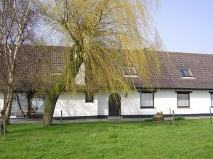 uma casa branca com uma árvore em frente em The Cosy Hill em Poperinge