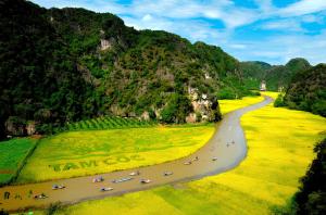 een luchtzicht op een rivier met een groep boten bij Ninh Binh Mountain Resort in Xuân Sơn
