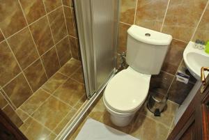 a bathroom with a toilet and a shower and a sink at Emirhan Inn Hotel, Sultanahmet in Istanbul +72 photos