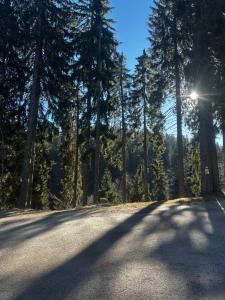 Naturlandskabet i nærheden af lejligheden