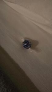 a black object in the sand in the water at Dimora Storica Silver Room in Ruviano +8 photos