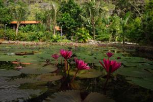 een vijver met roze bloemen in een tuin bij Ninh Binh Mountain Resort in Xuân Sơn