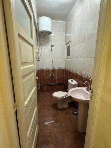 a bathroom with a toilet and a sink at Nasser Nubian Guest House in Jazīrat Aswān