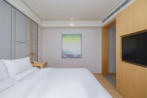 Μια τηλεόραση ή/και κέντρο ψυχαγωγίας στο JI Hotel Nanjing Ming Palace