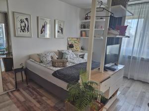 Postel nebo postele na pokoji v ubytování New Studio Apartment Sun with free parking