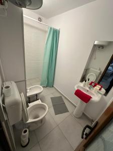 a bathroom with a toilet and a sink and a shower at New Green Apartment Studio 1 in Bucharest
