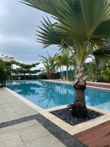 Bazén v ubytování Flamboyant Punaauia, luxury apartment with splendid ocean view nebo v jeho okolí