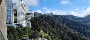 Природа в окрестностях апартаментов/квартиры