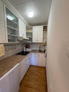 Кухня или мини-кухня в Apartma Snežko
