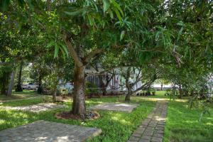 Orchid Lake View Homestay外面的花园