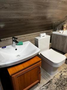 een badkamer met een wastafel en een toilet bij Stefan 64 in Chişinău