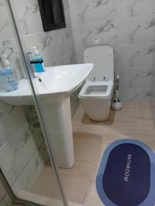 Koupelna v ubytování VANELI Apartment