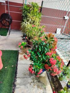 Ảnh trong thư viện ảnh của Liza Homestay ở Bachok