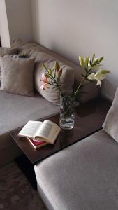 Khu vực ghế ngồi tại Livingville Nine