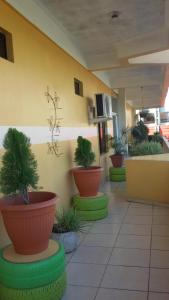 Fotografie z fotogalerie ubytování Hotel Plaza Palmero v destinaci San Pedro Sula