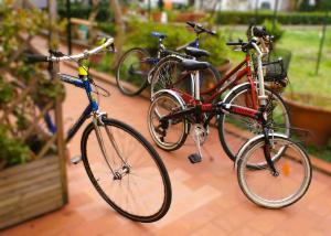 two bikes are parked next to each other at Geoglobe Apartment in Pisa