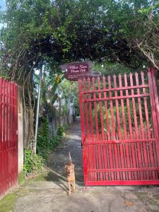 Billede fra billedgalleriet på Nhà Sen Phước Hải i Hội Mỹ