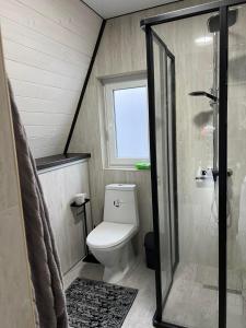 a small bathroom with a toilet and a shower at Frame&Forest in Kolochava +26 photos