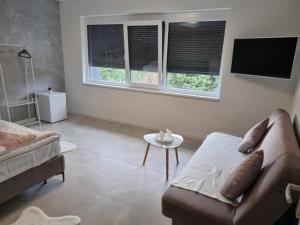 a living room with a couch and two windows at Georgiana Apartments 2 in Timişoara +22 photos