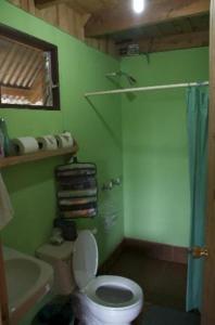 baño verde con aseo y lavamanos en Quetzal Valley Cabins, en San Gerardo de Dota