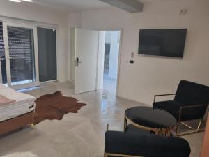 a living room with a couch and chairs and a television at Georgiana Apartments 2 in Timişoara