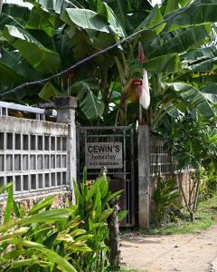 Κήπος έξω από το Cewin's Homestay