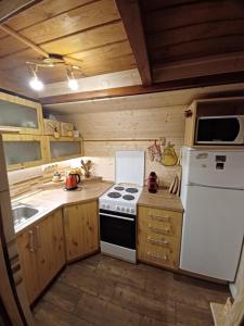 Chata Safran في دونوفالي: مطبخ صغير مع موقد وثلاجة