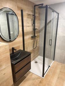 a bathroom with a shower with a sink and a mirror at Apartmány Javorská in Železná Ruda