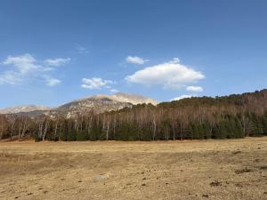 een veld met bomen en bergen op de achtergrond bij Maksyt Ata Hostel in Kalday