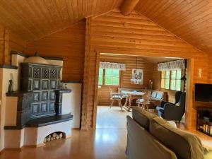 ein Wohnzimmer mit Kamin in einer Blockhütte in der Unterkunft Landhaus An der Schafgasse in Spittelstein + 28 Fotos