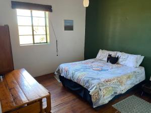 een slaapkamer met een bed met een kat erop bij Infinity farm in Riversdale