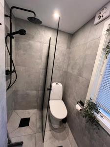 a bathroom with a toilet and a shower stall at Sofias Lovely Little House in Stockholm +9 photos