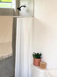 Foto de la galería de Garden Retreat Near Pitons, Relax Explore Nature en Caféière