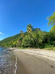 Foto de la galería de Garden Retreat Near Pitons, Relax Explore Nature en Caféière 10 fotos más