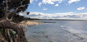 a view of a beach with people in the water at Kipsie Cottage - Point Lonsdale in Point Lonsdale
